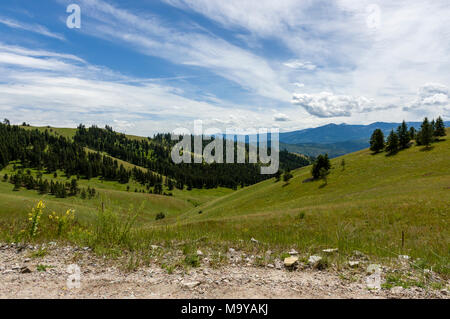 Avis de praire verte et collines dans le National Bison Range, Montana Banque D'Images