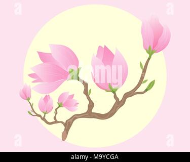 Une illustration d'une succursale de belles fleurs magnolia rose ouverture sous un grand soleil jaune. Illustration de Vecteur