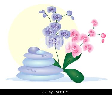 Une illustration de cailloux avec spa bleu violet et rose orchidées sur fond blanc Illustration de Vecteur