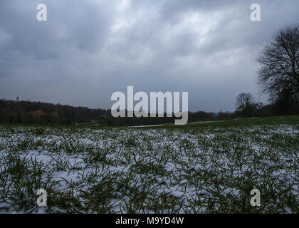 Une fine couche de neige sur Hampstead Heath avant l'arrivée de 'La Bête de l'Est", qui est attendu à voir chuter les températures de -15C et porter de lourdes chutes de neige. Comprend : Voir Où : London, Royaume-Uni Quand : 26 Feb 2018 Crédit : John Rainford/WENN.com Banque D'Images