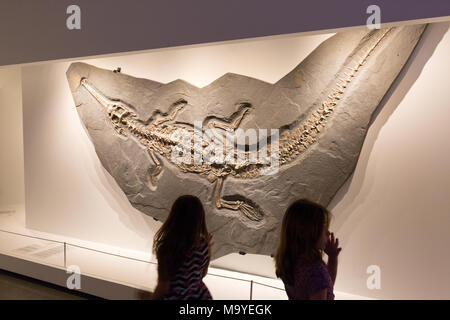 Les enfants à la recherche d'un fossile de dinosaure, Musée des Sciences Naturelles de Houston, Houston, Texas, USA Banque D'Images