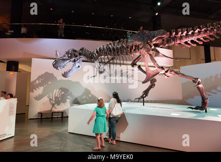 La mère et l'enfant à la recherche d'un fossile de l'T Rex Tyrannosaurus Rex Dinosaur, Musée des Sciences Naturelles de Houston, Houston, Texas, USA Banque D'Images