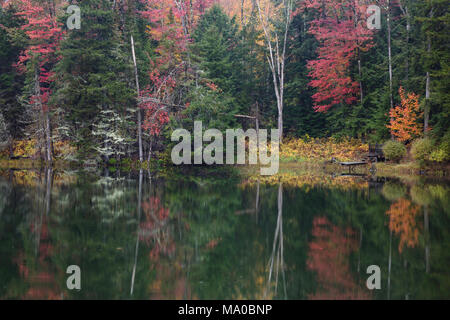 Réflexion creux français à l'automne, Bennington Comté (New Hampshire) Banque D'Images