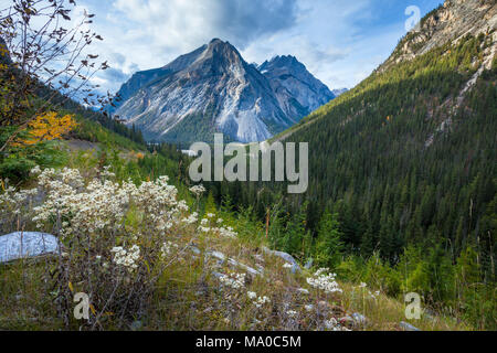 Vue d'une seule montagne à la fin d'une vallée boisée, British Columbia, Canada Banque D'Images