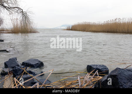 Avec l'hiver Balaton Badacsony montagne dans l'arrière-plan à Balatonszemes, Hongrie. Banque D'Images