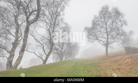 Matin brumeux à la le long d'une piste gazonnée bordée d'Bolehill dans la carrière désaffectée, partie du parc national de Peak District. Banque D'Images