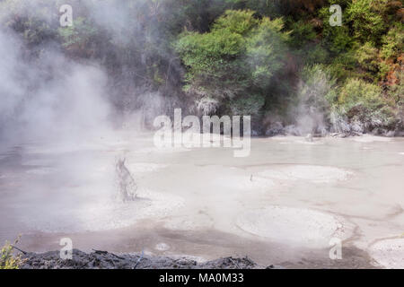 Nouvelle-zélande wai-o-tapu thermal wonderland piscines de boue bouillonnante d'ébullition boue waiotapu rotorua nouvelle zélande Nouvelle zélande Rotorua waiotapu Banque D'Images