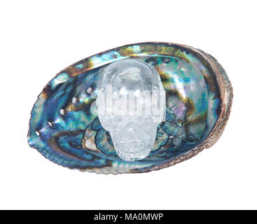Crâne de quartz clair en arc-en-ciel brillant d'haliotide isolé sur fond blanc Banque D'Images