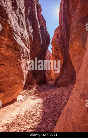 Le Buckskin Gulch, un canyon dans le sud de l'Utah, United States. Banque D'Images