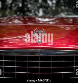 Moscou, Russie - le 26 août 2017 : voiture Cadillac logo sur une voiture d'époque, selectiv focus. Voitures rétro festival. Soir de pluie, du vrai place rouge Banque D'Images