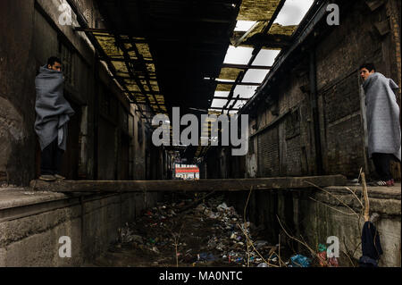 Deux réfugiés vu l'un ou l'autre côté d'un pont de fortune qui s'étend sur une crique principalement utilisé comme toilettes et de détritus, dans l'ensemble des entrepôts abandonnés derrière la gare routière de Belgrade qui accueillent plus de 1500 réfugiés. Derrière la gare routière dans le centre de Belgrade se trouve un ensemble d'entrepôts abandonnés qui accueillent plus de 1500 réfugiés et migrants. Avec la route des Balkans a effectivement fermé, à l'exception de quelques femmes et des enfants, l'évolution démographique des réfugiés bloqués à la Serbie devient de plus en plus dominé par les jeunes hommes. Les entrepôts ont fourni un refuge pour ceux qui y séjournent, mais à Banque D'Images