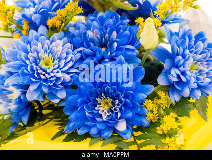 Fleurs Aster bleu et d'autres espèces dans un bouquet floral Banque D'Images