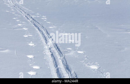 Les pistes de ski de fond sur un flanc de montagne. La neige fraîchement tombée et le soleil. Banque D'Images