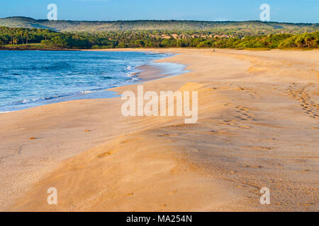 Papohaku Beach sur l'extrémité occidentale de l'île est près de trois milles de long et 100 mètres de large,. C'est l'une des plus longues plages de sable blanc dans la Banque D'Images