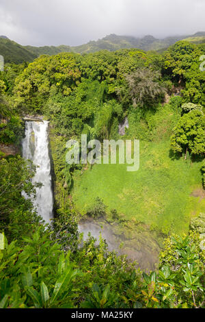 Makahiku Falls est une cascade de 61 mètres de la prêle et l'une des plus impressionnantes chutes d'eau le long du sentier en Pipiwai Ohe'o Gulch, National Haleakala Banque D'Images