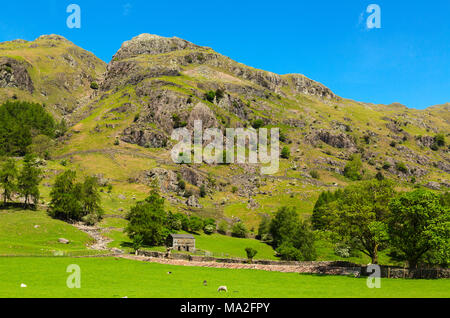 La vallée de Langdale dans le Lake District en Cumbrie Banque D'Images