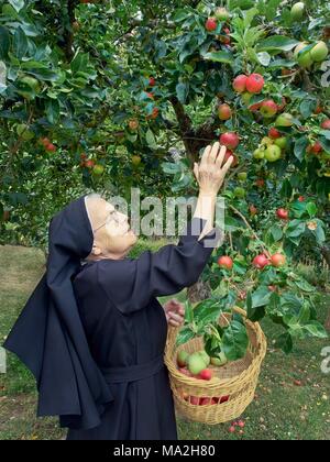 Nun soeur Ruth dans un jardin fruitier, Hildergard-Forum Rhine-Hesse Rochusberg Binger,,, Allemagne Banque D'Images