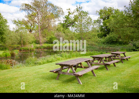 Rangée de tables de pique-nique en bois patiné avec bancs sur une pelouse, près d'une piscine en été, un jardin anglais ou le parc. Le sud de l'Angleterre, Royaume-Uni Banque D'Images
