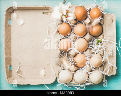 Les œufs de couleur naturel pour Pâques à la case, fond bleu Banque D'Images