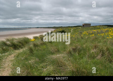 La région de la baie de Druridge, sur la côte de Northumberland, est dotée d'une structure en béton de la seconde Guerre mondiale Banque D'Images