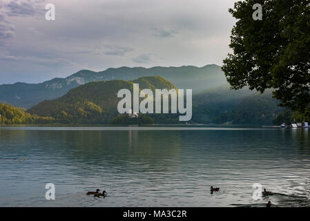 La Slovénie, Bled, Bled Island et de l'église de l'assomption de Marie Banque D'Images