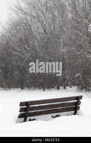 Banc de parc dans la neige profonde Banque D'Images