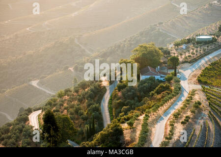 Vallée du Douro est une des plus importantes et des vignobles historiques en Europe Banque D'Images