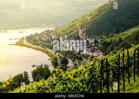 Vignobles aroung le village de Lorch en Rhin Allemagne Europe Banque D'Images