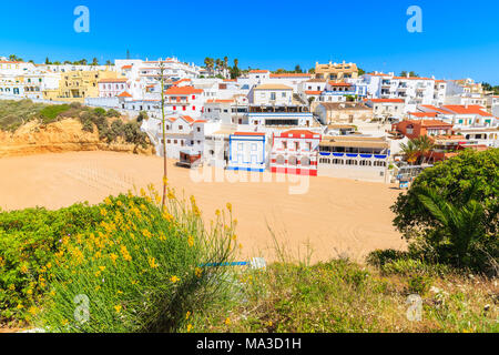 Jaune printemps fleurs en premier plan et vue sur la plage dans le village de Carvoeiro avec ses maisons colorées sur falaise, région de l'Algarve, Portugal Banque D'Images