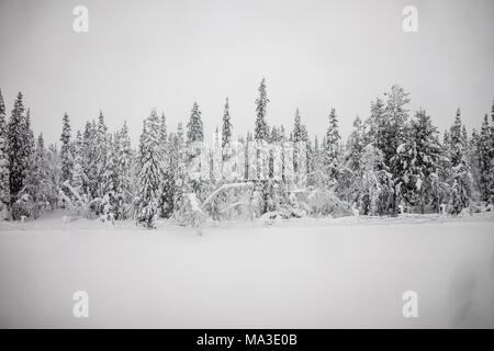 Voyage en train de Kiruna à Boden, Suède Banque D'Images