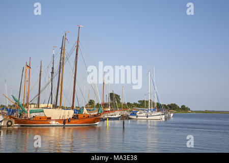 Voiliers du Saaler Bodden, Baltic sea spa Wustrow, péninsule Fischland-Darss-Zingst, Mecklembourg-Poméranie-Occidentale, Allemagne, Banque D'Images