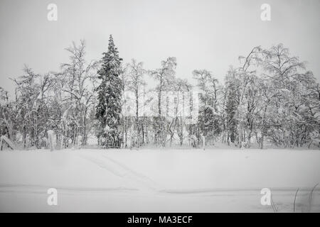 Voyage en train de Kiruna à Boden, Suède Banque D'Images