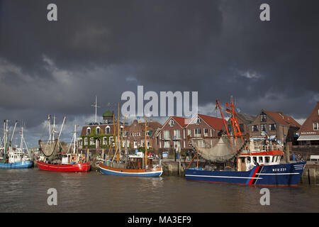 Chalutier de pêche dans le port d'Ayas, Basse-Saxe, Allemagne du Nord, l'Allemagne, l'Europe, Banque D'Images