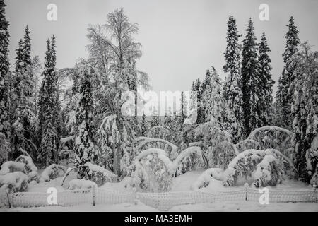 Voyage en train de Kiruna à Boden, Suède Banque D'Images