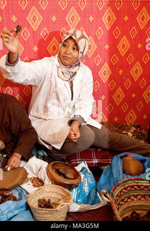 Femme, l'écrou d'argan, de la production de l'huile d'argan, travail, Maroc Banque D'Images