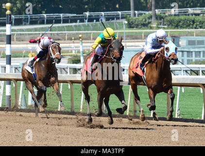 Arcadia, Californie, USA. 30Th Mar, 2018. Les courses de chevaux - Chevaux a trouvé son rythme à l'approche de la ligne d'arrivée dans la 7e course à Santa Anita Race Track, Arcadia, Californie, USA, le 29 mars 2018.Image Crédit cr Scott Mitchell/ZUMA Press Crédit : Scott Mitchell/ZUMA/Alamy Fil Live News Banque D'Images