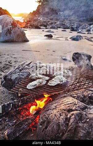 Les huîtres sur un feu de plage à Tofino, Colombie-Britannique, Canada Banque D'Images
