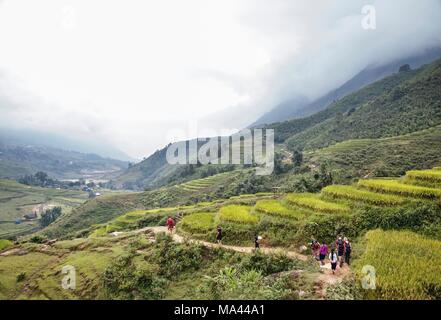 Le sentier de randonnée à travers les rizières en terrasse au Vietnam Banque D'Images