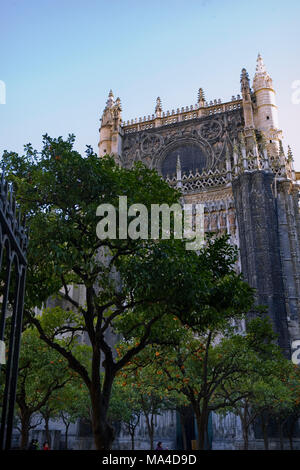 La Cathédrale de Séville, et le Patio de los Naranjos, ou Orange Tree Courtyard, Séville, Andalousie, Espagne Banque D'Images