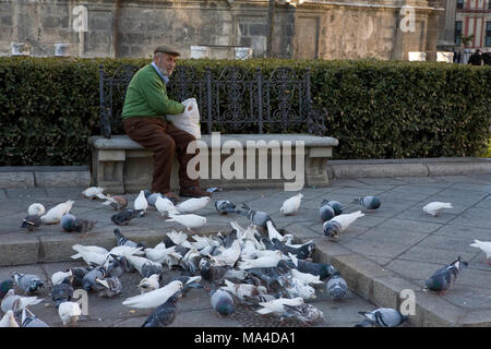 L'homme se nourrit les pigeons, Plaza del Triunfo, Séville, Andalousie, Espagne Banque D'Images