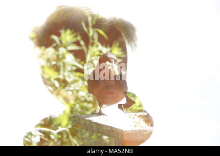 Tête de poupée avec les fleurs et les plantes en double exposition Banque D'Images