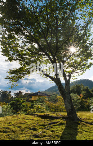 L'Asie, Japon, Nippon, Nihon, Kita, Kita-ku, Kyoto Kinkaku-ji Banque D'Images