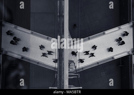 L'Asie, Japon, Nihon, Nippon, Tokyo, Marunouchi, Chiyoda, Tokyo International Forum Banque D'Images