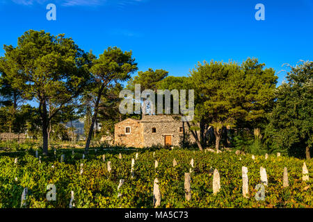 La Croatie, Dalmatie, Sibenik, Solaris Beach Resort, Ethno village dalmate Banque D'Images