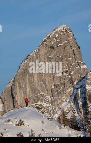 Climber en raquettes en face de l'Ruchenköpfen Mangfall, Montagnes, Alpes bavaroises, Bavière, Allemagne Banque D'Images