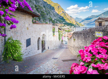 Limone sul Garda, Lac de Garde, Province de Brescia, Lombardie, Italie Banque D'Images