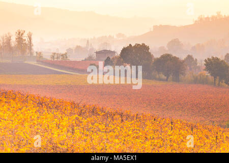 La campagne près de Castelvetro, Province de Modène, Émilie-Romagne, Italie Banque D'Images