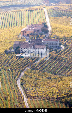 Vignobles de vin Prosecco à l'automne, Valdobbiadene, Trévise, Vénétie, Italie Banque D'Images