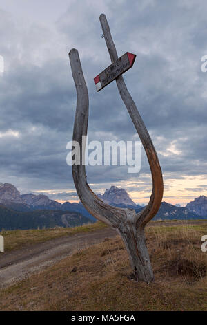 Laste Alm, Dolomites, Rocca Pietore, la province de Belluno dans la région Vénétie en Italie. Banque D'Images