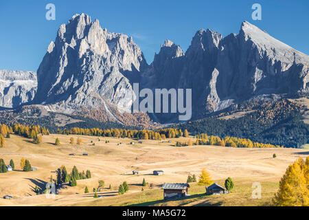 Alpe di Siusi avec Mont Sassolungo et Sassopiatto Montage sur l'arrière-plan, le Tyrol du Sud, Italie Banque D'Images